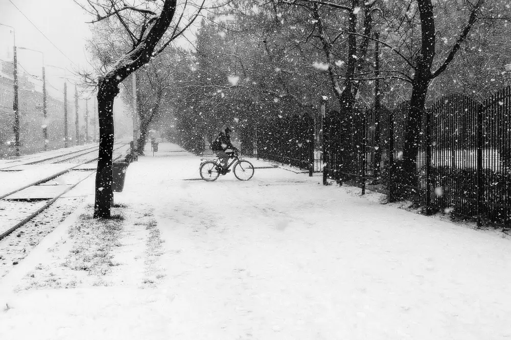 Gabor, Nicoleta: Winterpassagiere