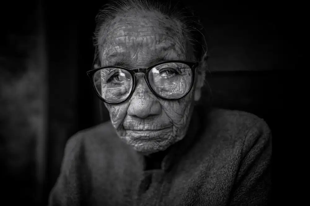 Tagliarino, Marco: The old vietnamese lady