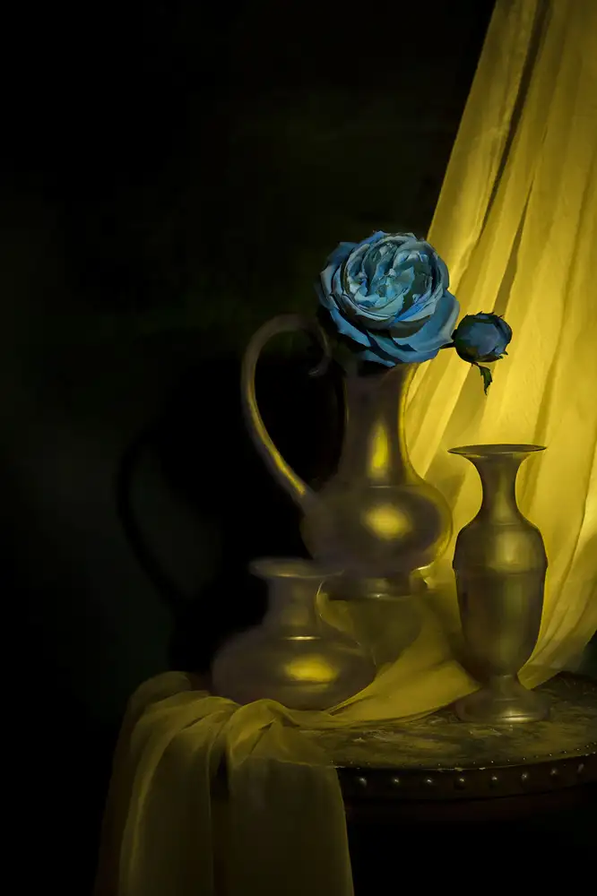 Jacobs, Lydia: Lumière et nuit