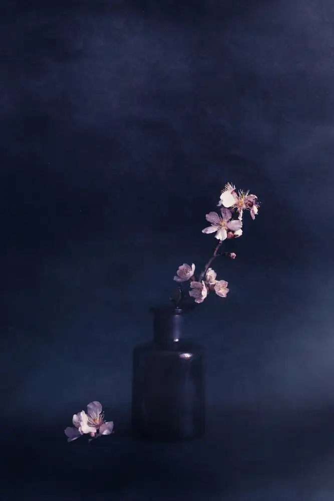 Kiral, Cicek: Jours de printemps