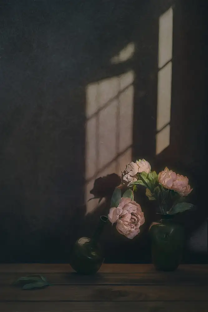 Jacobs, Lydia: La lumière du soir