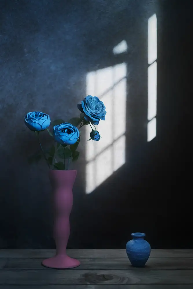 Jacobs, Lydia: Lumière de fenêtre
