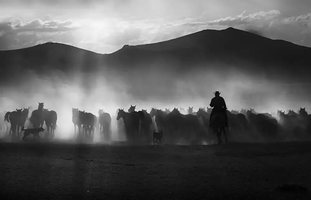 Basa, Emine: vaquero