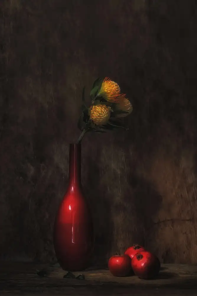 Dingemans, Saskia: Sogno rosso
