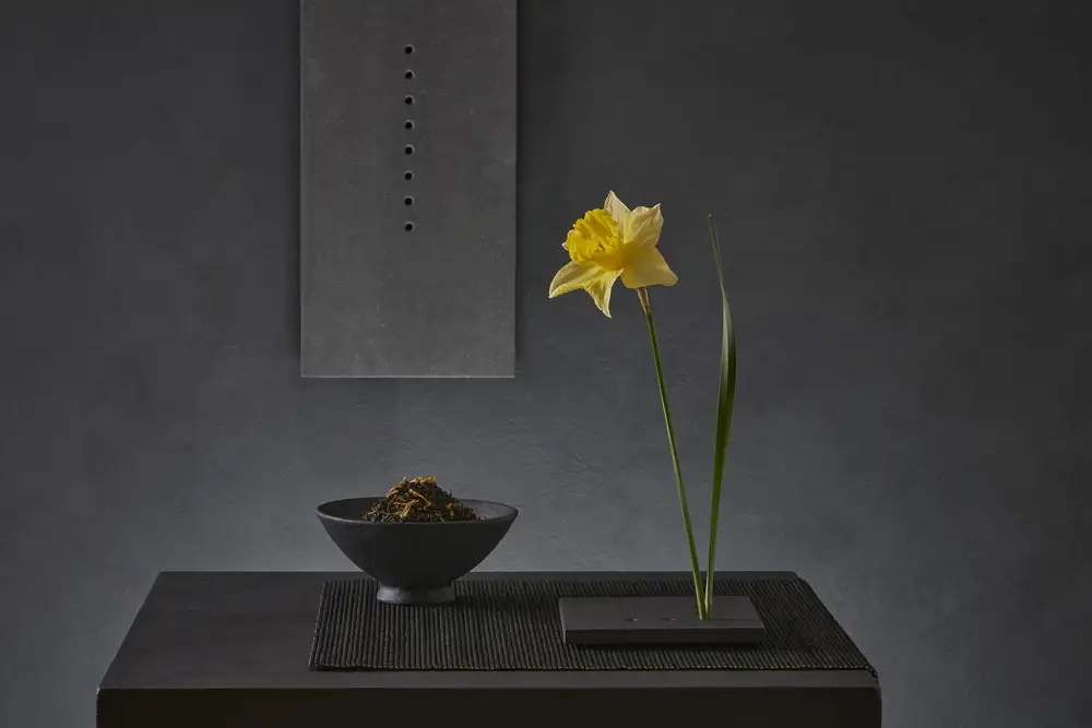 Verot, Christophe: Narcis Jonquilla