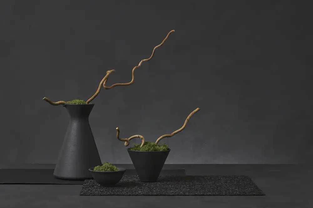Verot, Christophe: Corylus