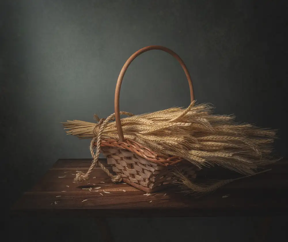 Perfoncio, Margareth: Grains of the Earth