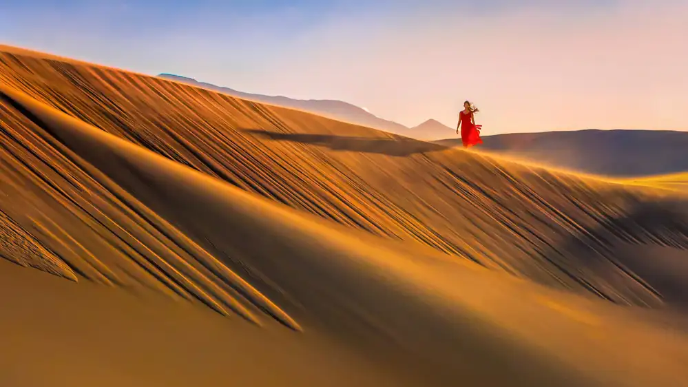 Chen, J. John: Desert Morning