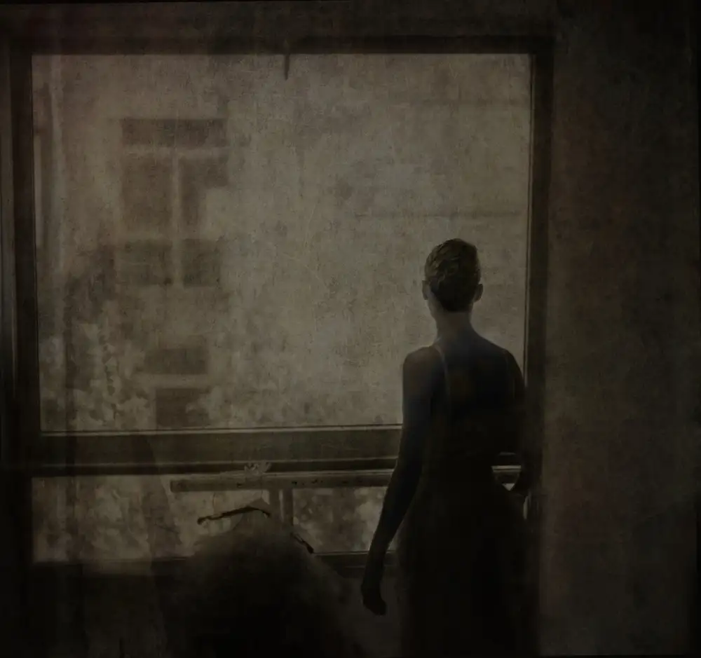 Pansky, Rachel: detrás de la ventana