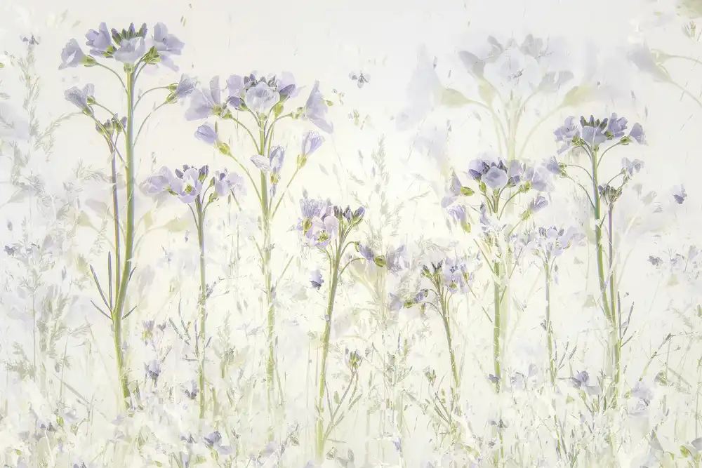 Talen, Nel: Le printemps à la maison