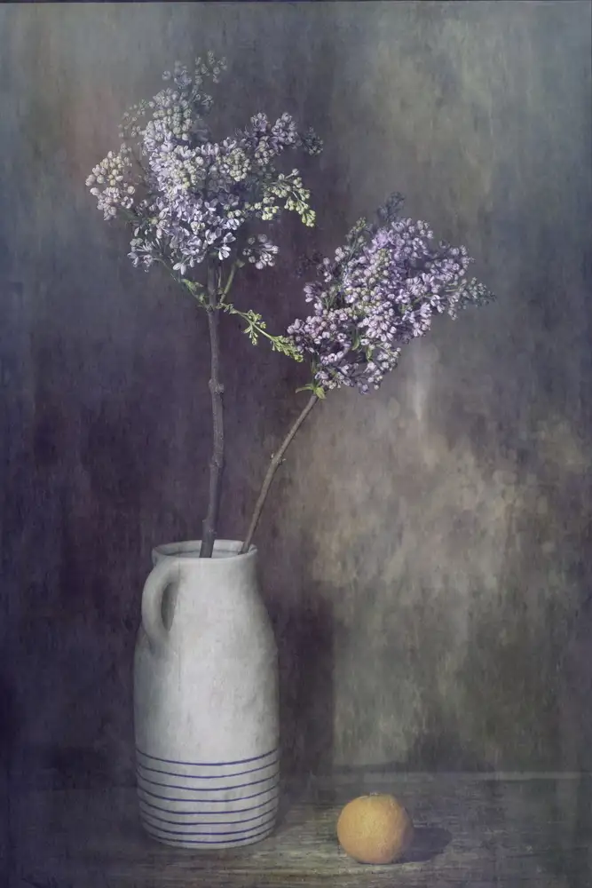 Dingemans, Saskia: Primavera