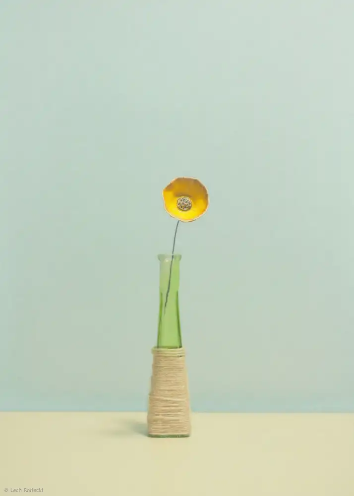 Radecki, Lech: Blume