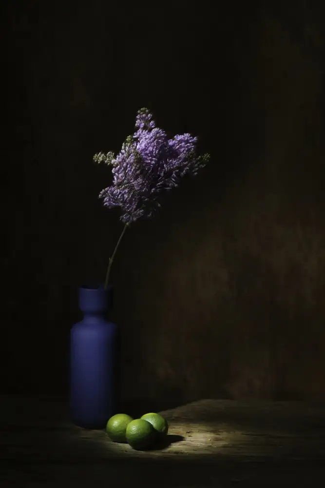 Dingemans, Saskia: Primavera
