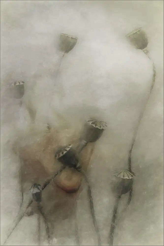 Claes, Gilbert: avenir plein d'espoir