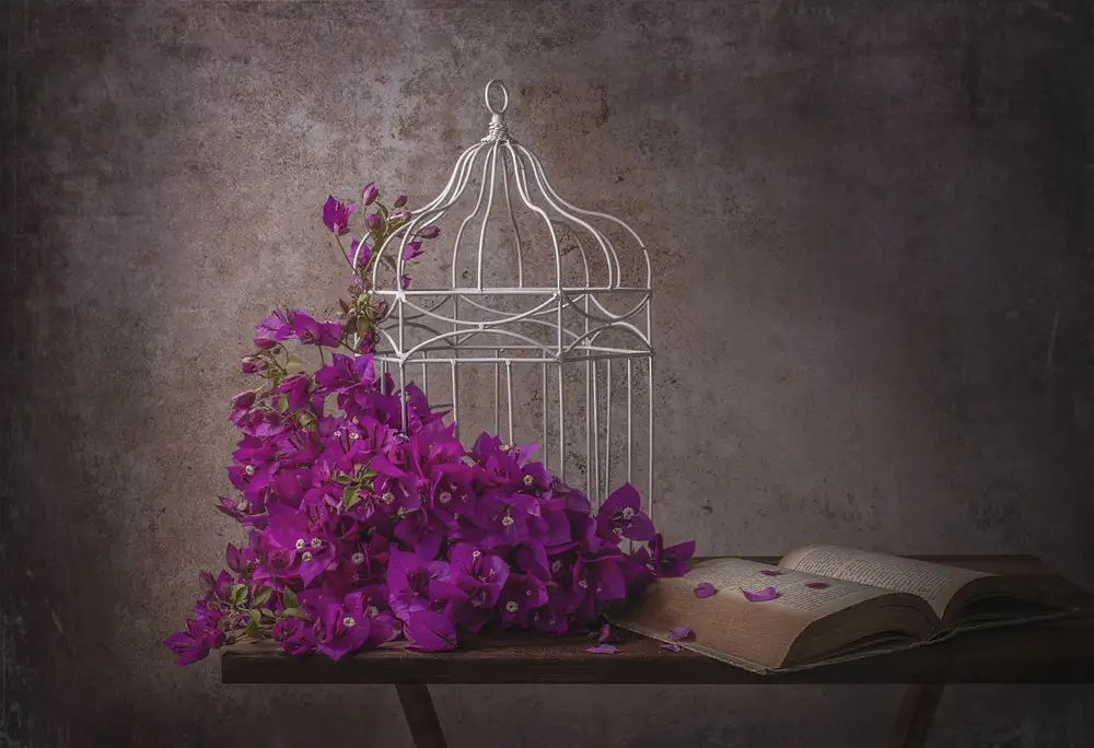 Perfoncio, Margareth: A little color in life!