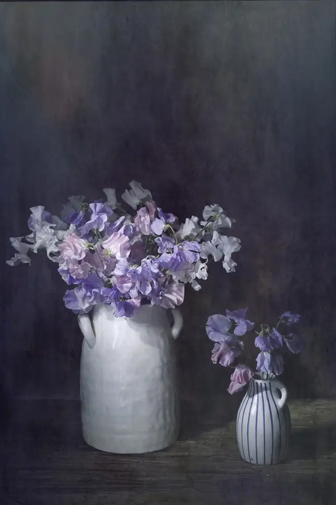 Dingemans, Saskia: Etherial Lathyrus