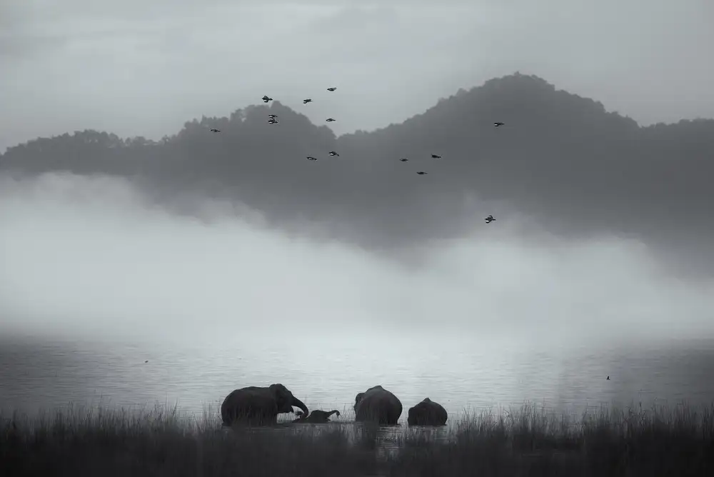 Swapnil: misty moments