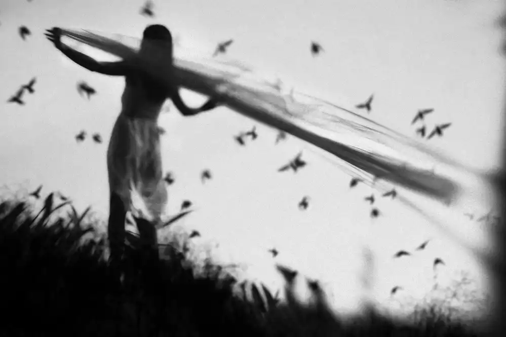 Sulistiawan, Hari: fly away