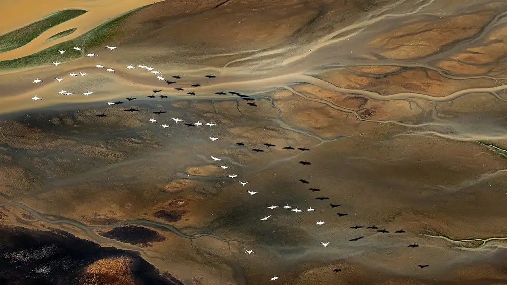 Poreider, Annie: Mountains and rivers