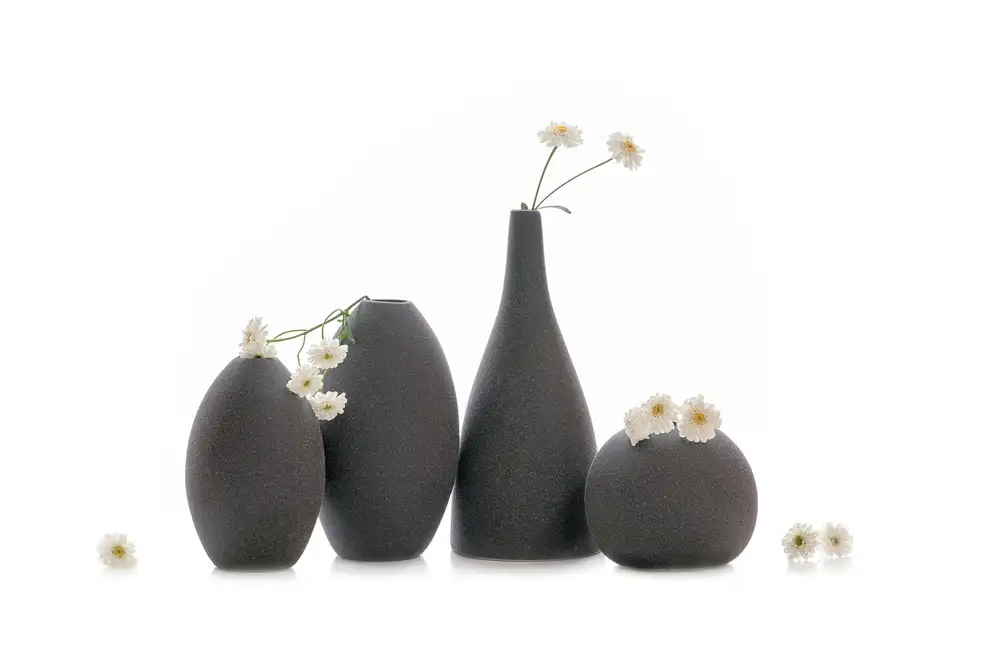 Jacobs, Lydia: Fleurs enneigées