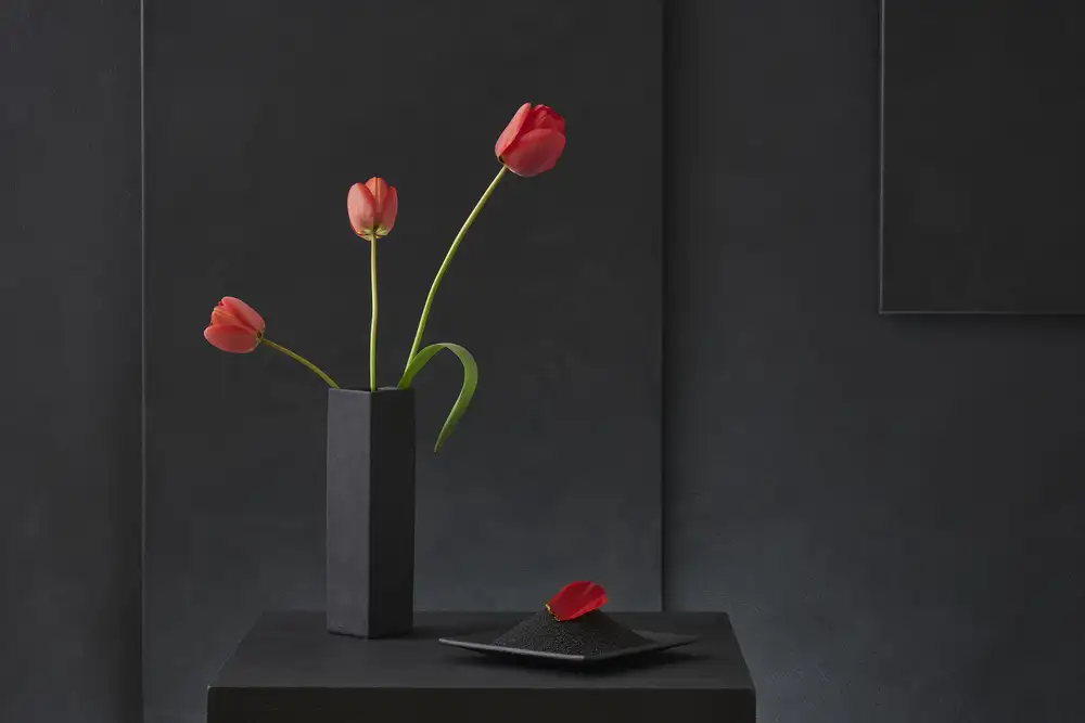 Verot, Christophe: Tulipa Gesneriana N°2