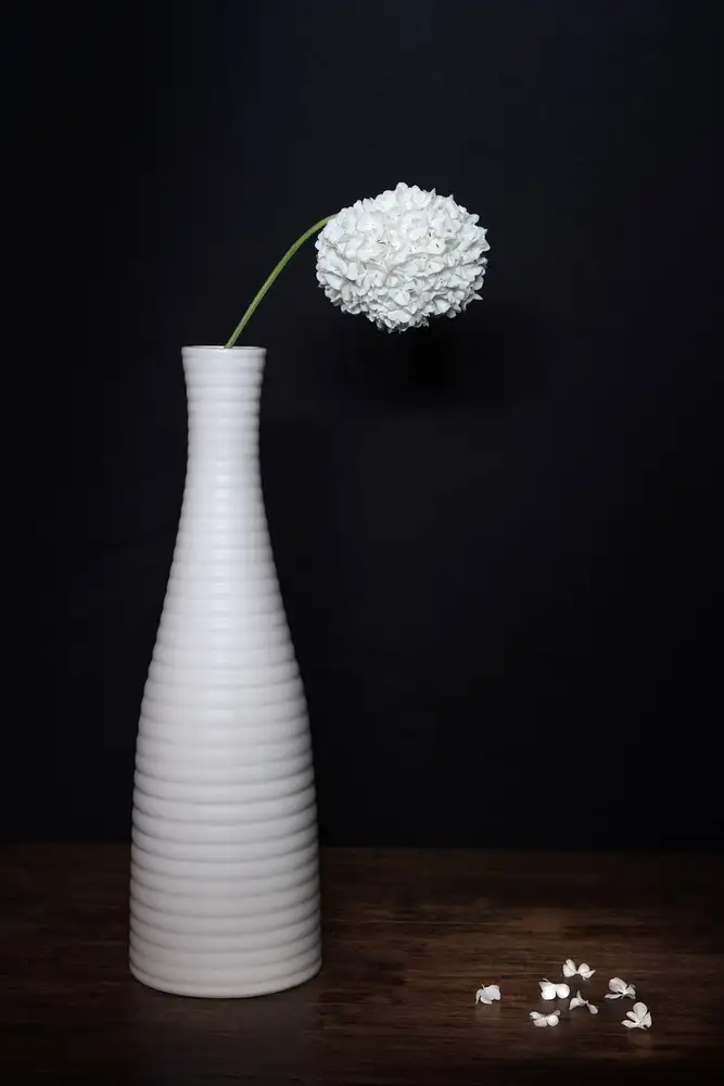 Toniolo, Giorgio: Boule de neige