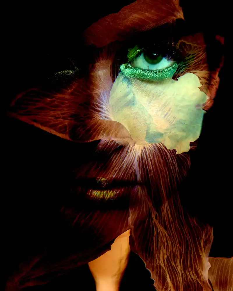 McCracken, David: Primavera Oscura