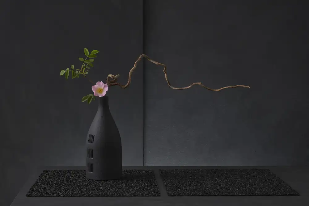 Verot, Christophe: Rosa Canina