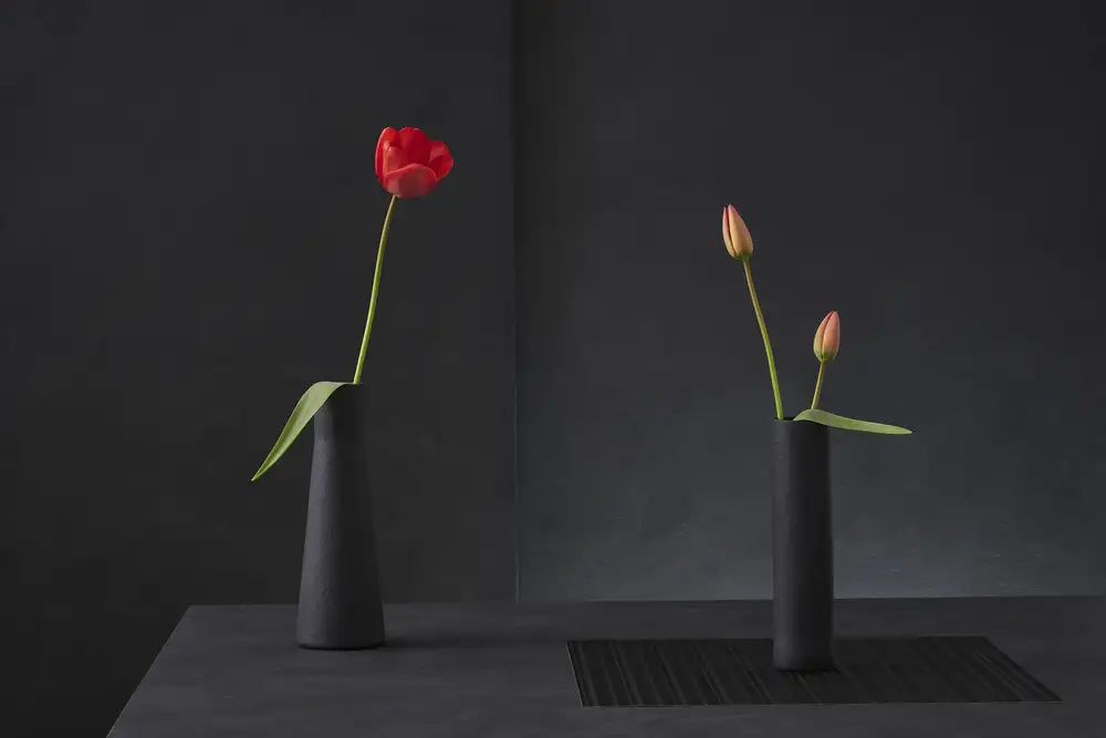 Verot, Christophe: Tulipa Gesneriana č. 3
