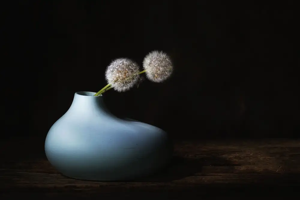 Dingemans, Saskia: Printemps