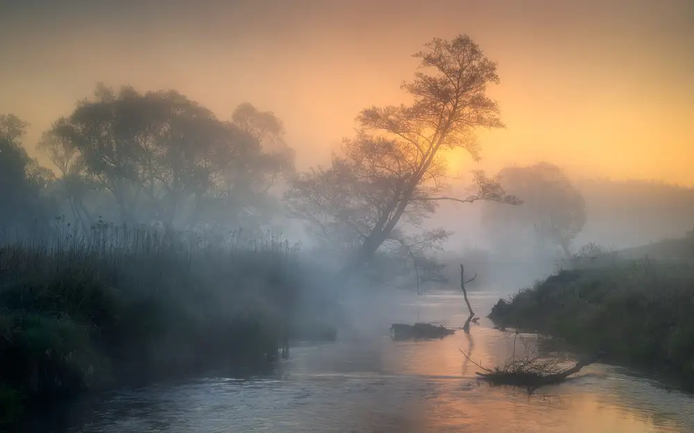 Rojek, Tomasz: Nebliger Fluss
