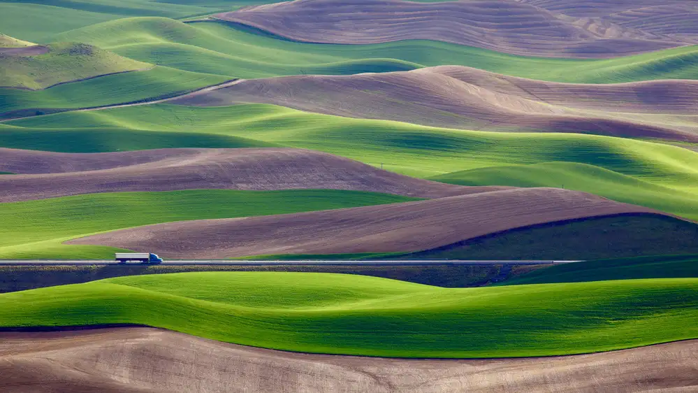 Gao, Danny: Fahrt durch das Weizenfeld bei Palouse