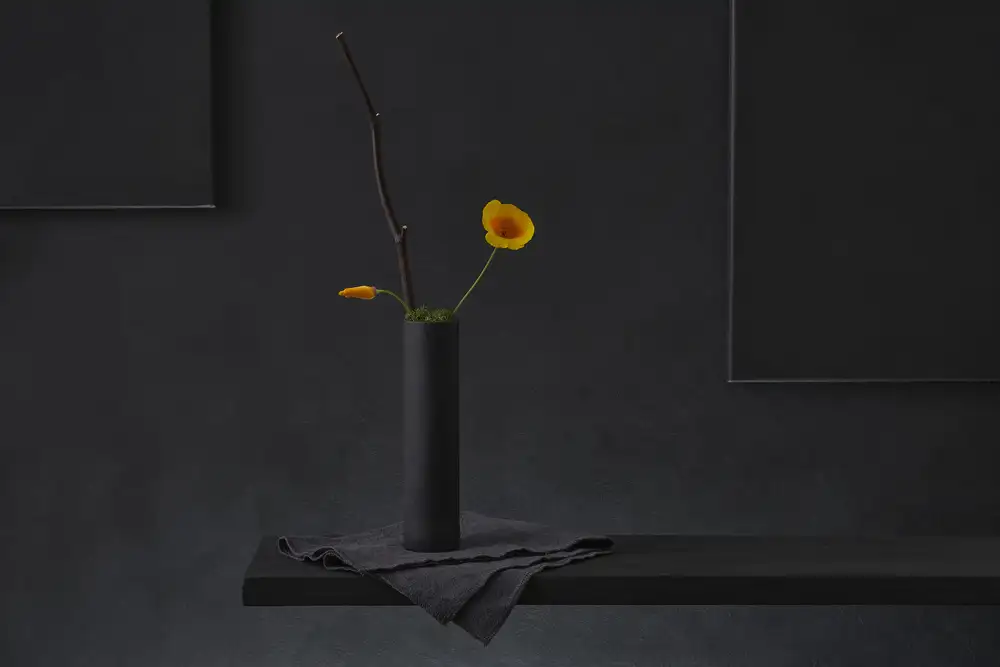 Verot, Christophe: Eschscholzia v Kalifornii