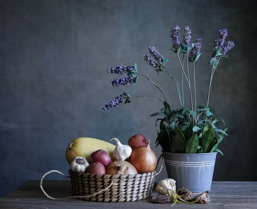 Zhou, Fangping: Lavender Harvest