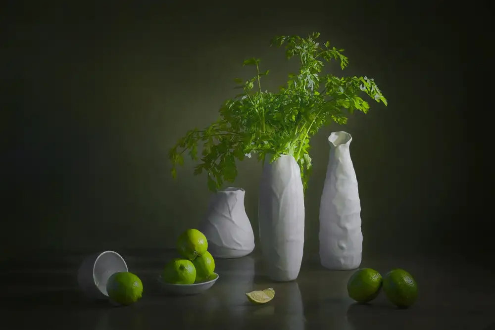 Jacobs, Lydia: Coriandre et citron vert