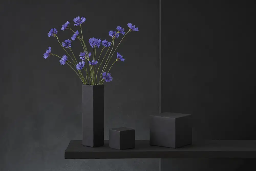 Verot, Christophe: Cyanus Segetum