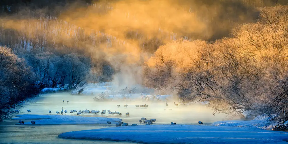 Tsui, Hung: In the morning glow