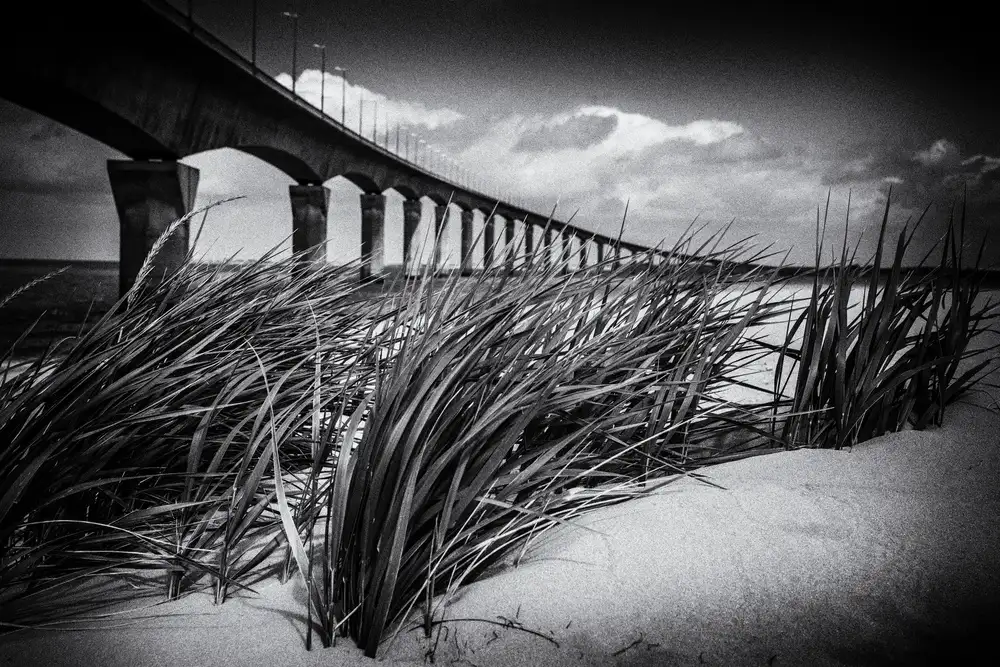 Vangindertael Luc: Le Pont