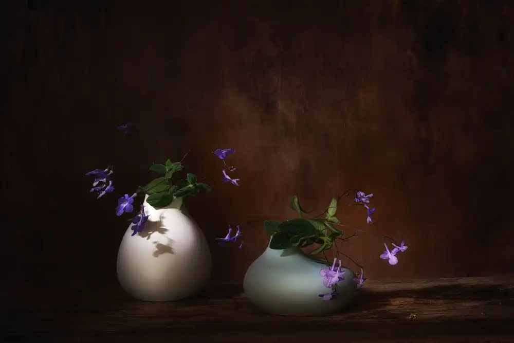 Dingemans, Saskia: Primavera