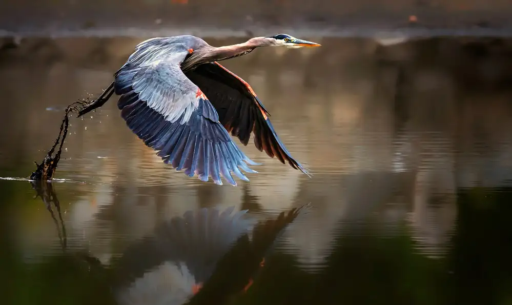 Fischer, Jie: Vom Wasser aus fliegen
