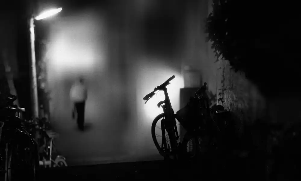 Tsuchida, Teruhiko: Going home...