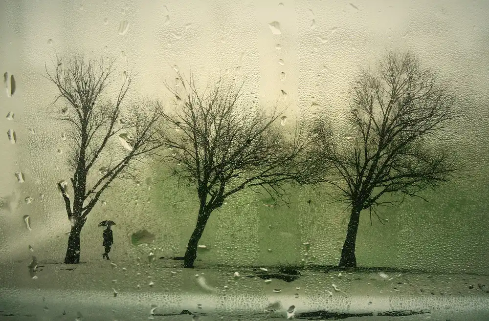 Basa, Emine: LLUVIA