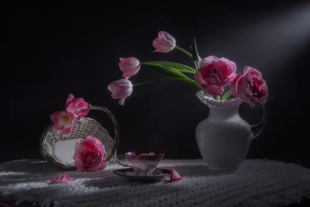 Jacobs, Lydia: Rose Rose et Tulipe