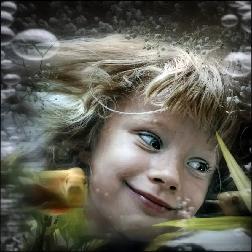 ambra: funny bubble