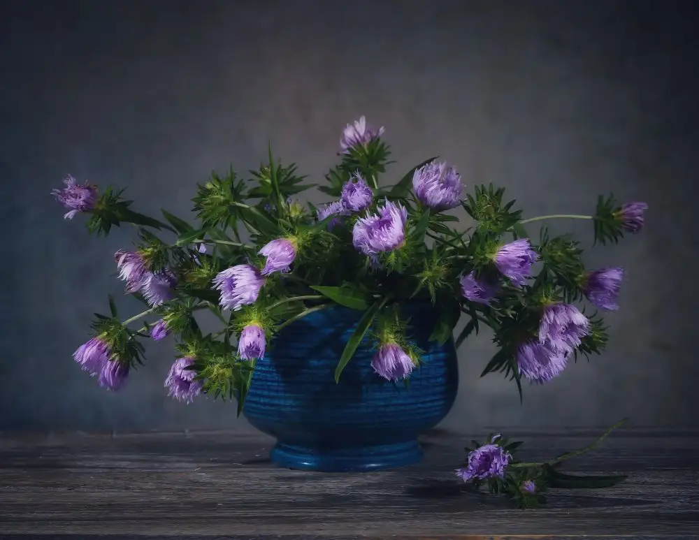 Zhou, Fangping: Margarita Fleabana