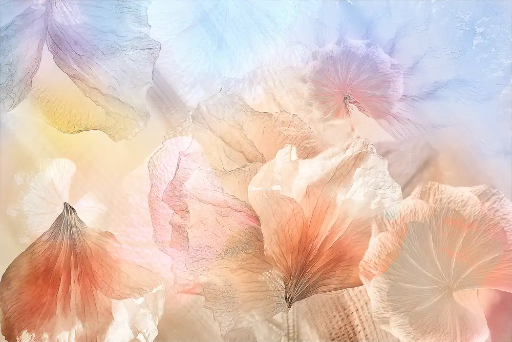 Shumilova, Ludmila: Ätherische Blumen