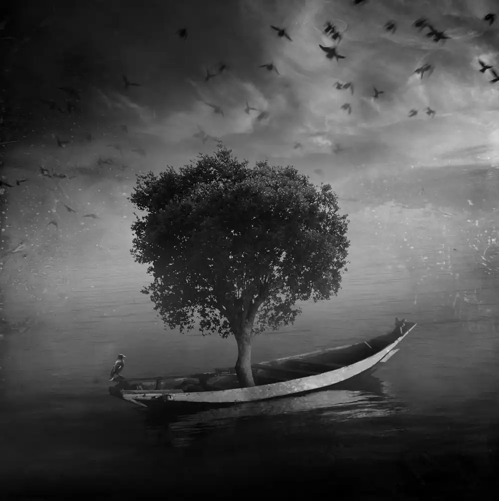 Sulistiawan, Hari: the silent lake story