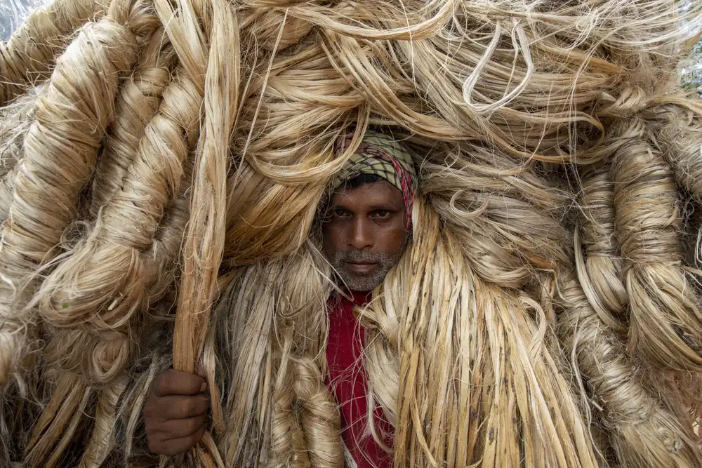 Ronnie, Khan Azim: Les ouvriers portent de lourdes fibres de jute sur leurs épaules