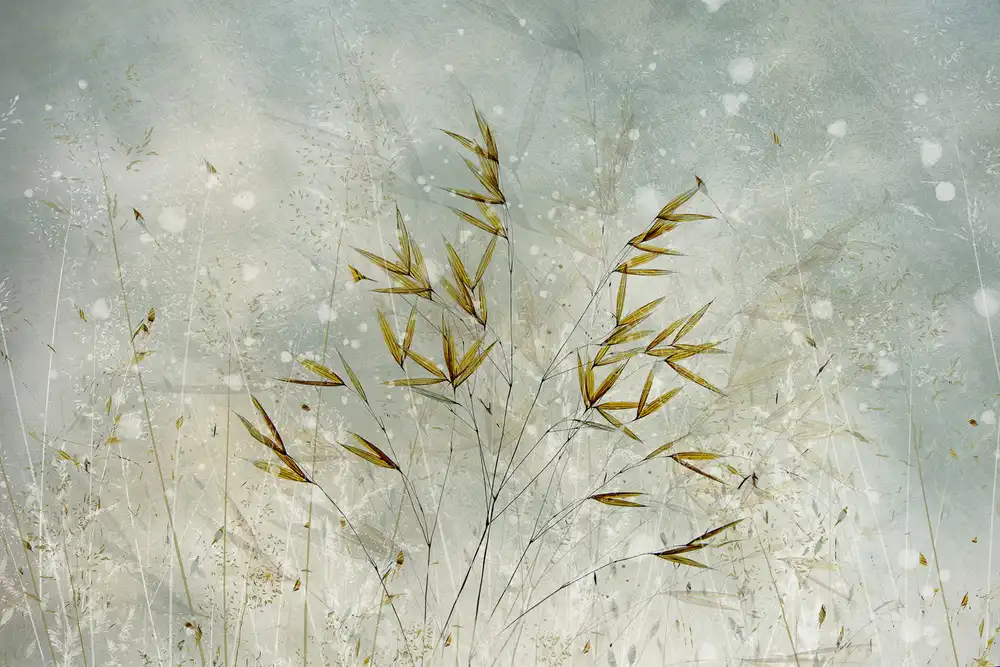 Talen, Nel: Orario invernale