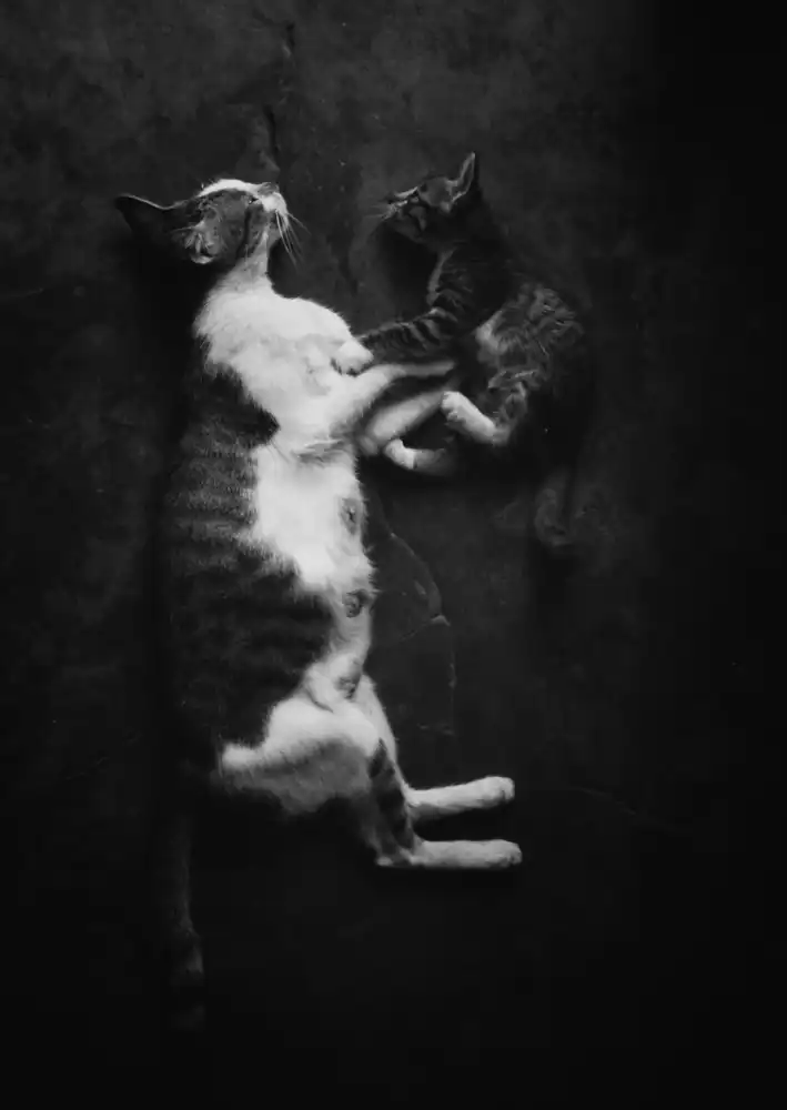 Lagaa, Kahar: My precious one